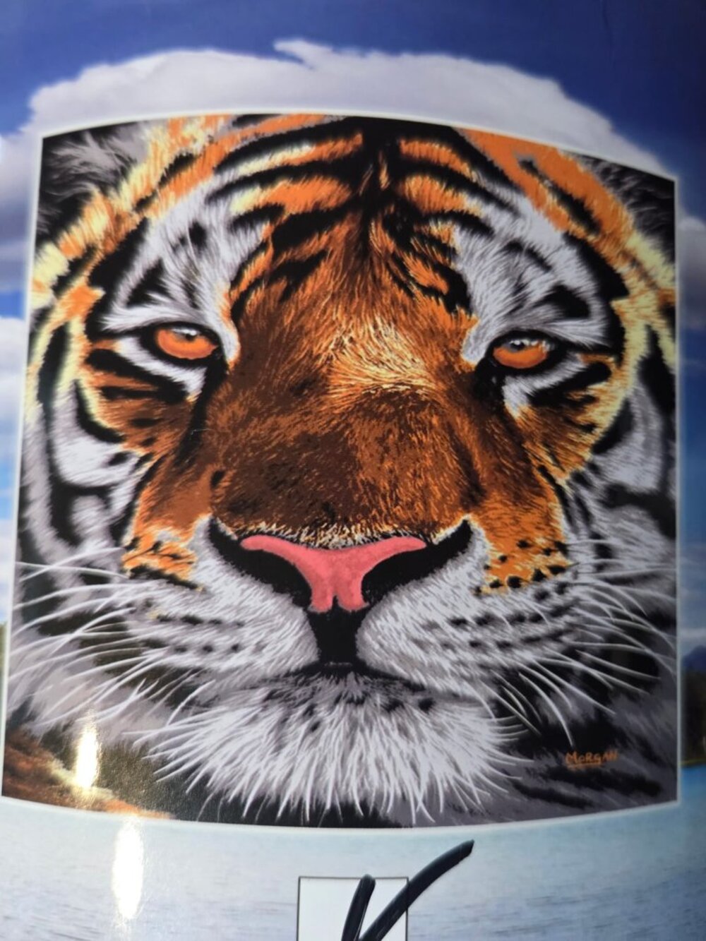 Plush Raschel Tiger Throw Blanket 50x60